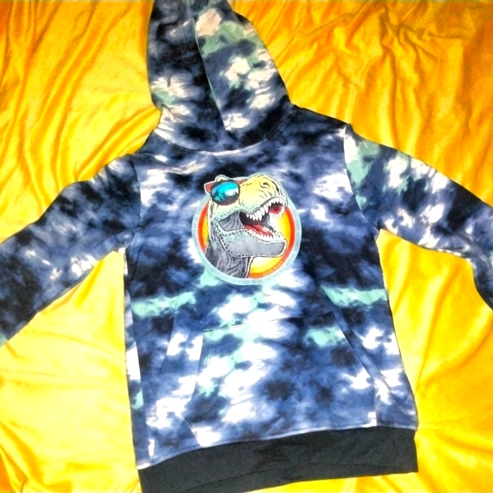 Size 10 Nwt Garanimals dino hoodie
